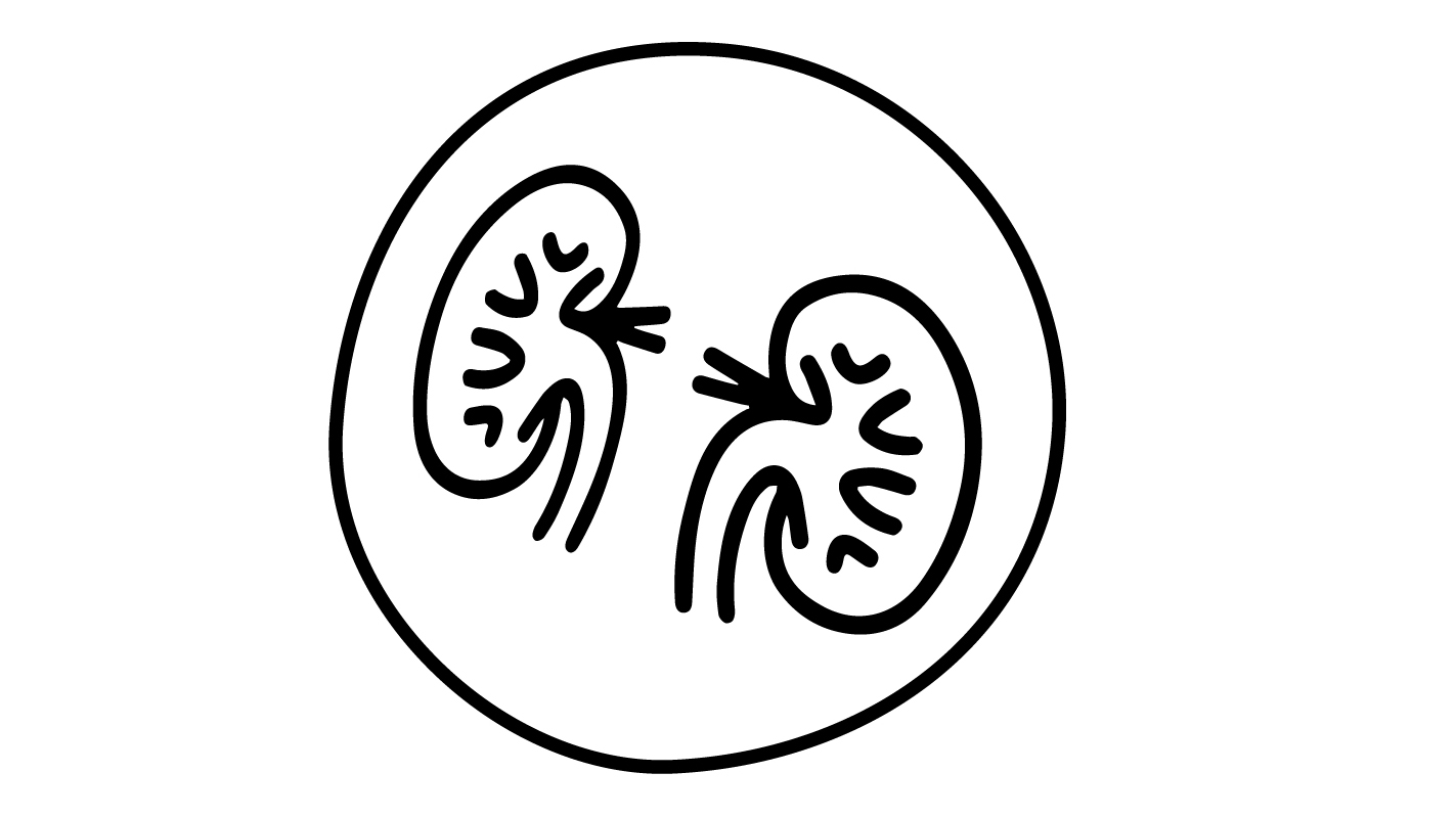 Renal Nutrition