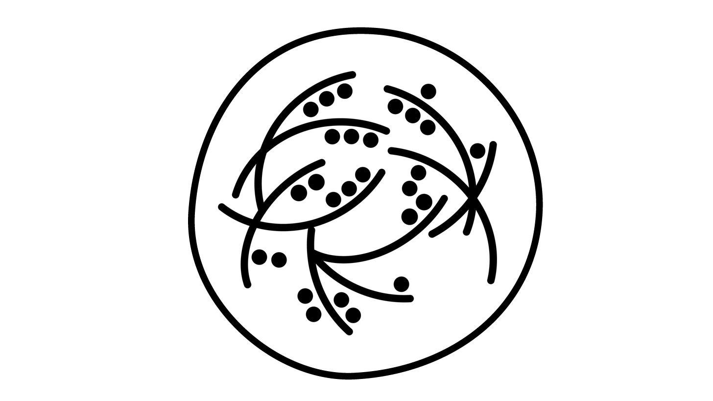 Glutenfrei Symbol
