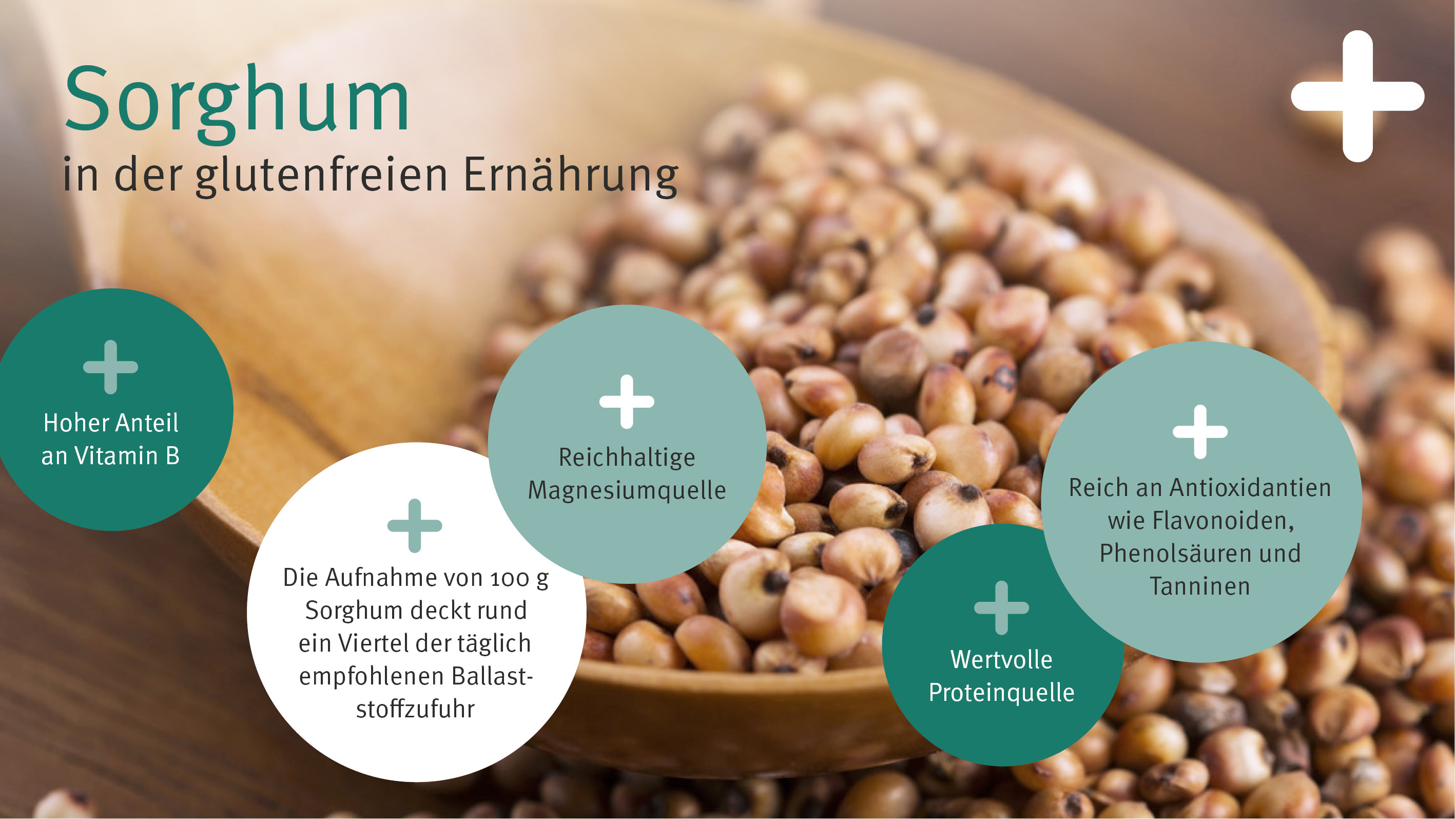 Die gesundheitlichen Effekte von Sorghum