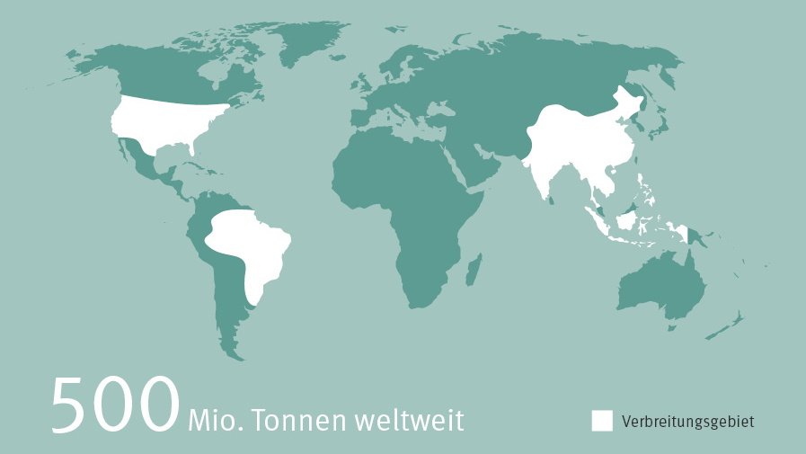 Anbaugebiete Reis weltweit