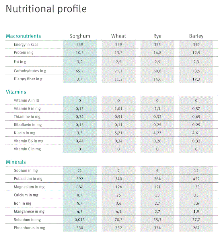 Sorghum nutritional values