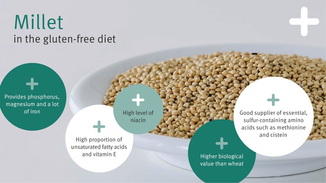 Millet in the GlutenFree Diet Dr. Schär Institute