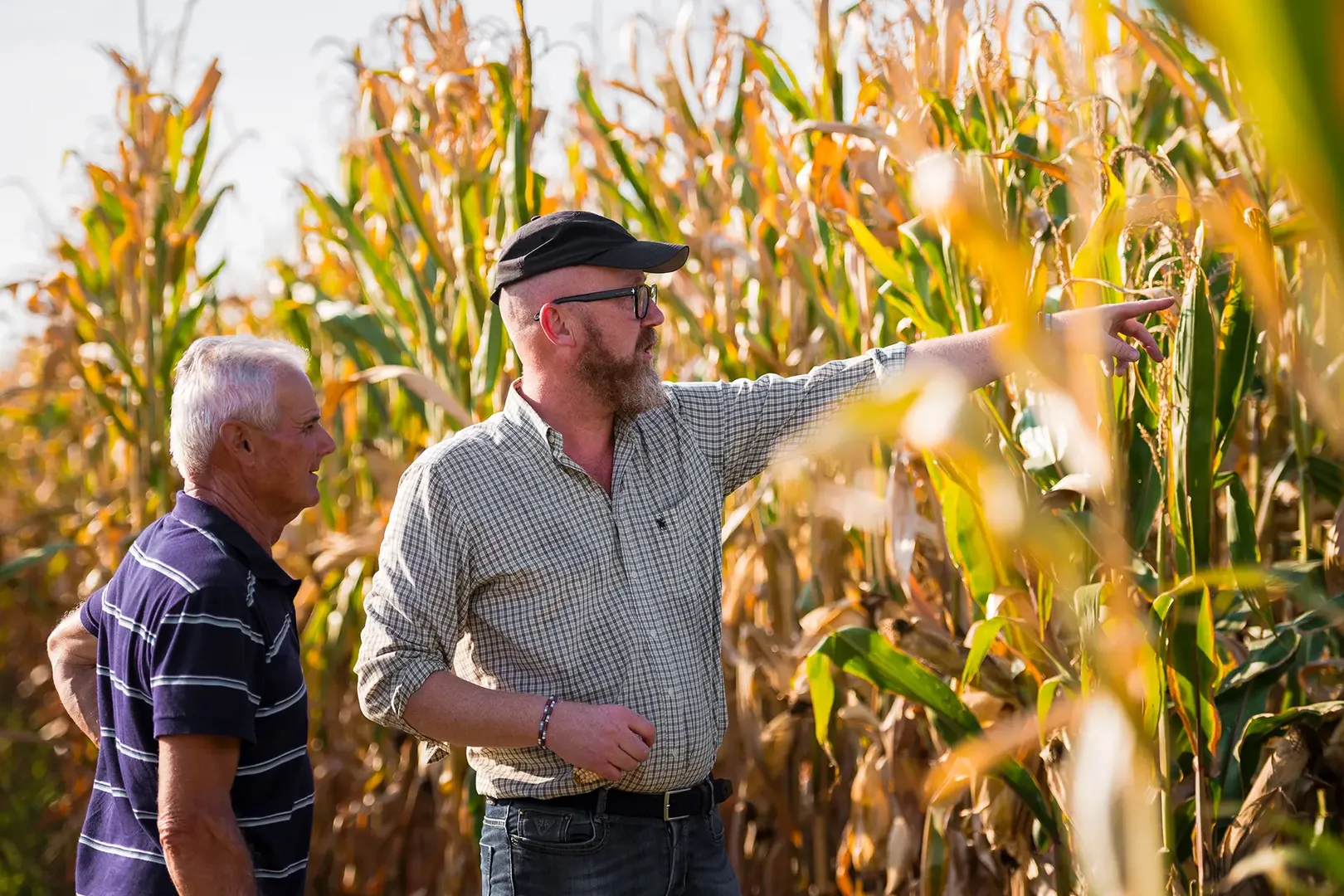 Biodiversity and sustainable agriculture