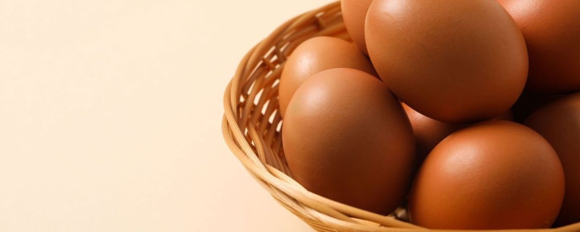 Des œufs provenant exclusivement de poules élevées en plein air: un signe de respect