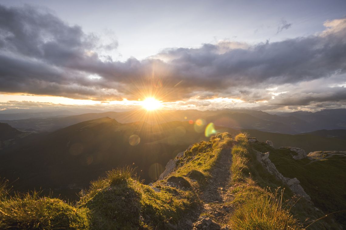 Aus Südtirol in die Welt