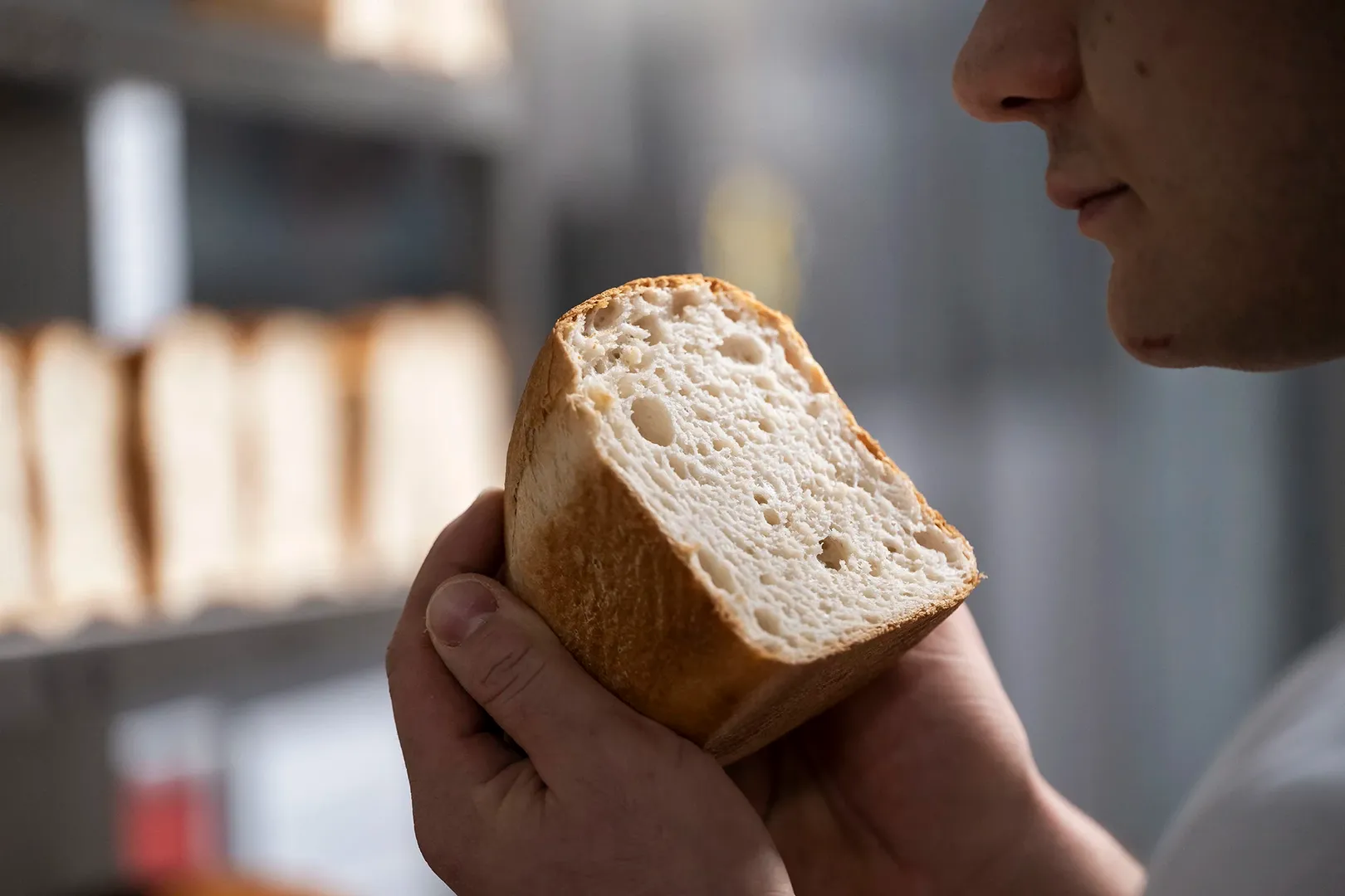 Free to create quality