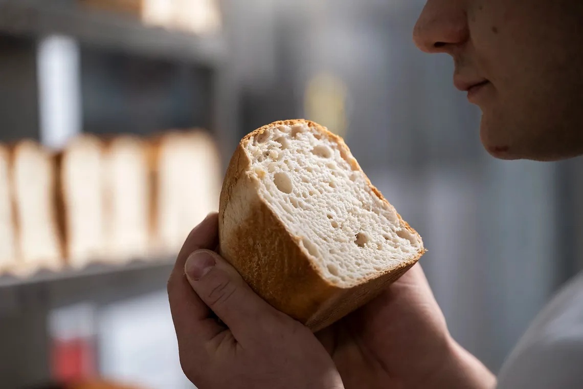 Liberi di creare qualità