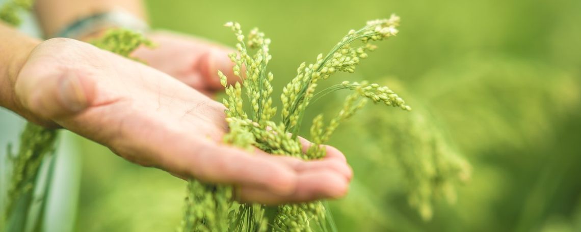 Más delicioso y equilibrado que nunca