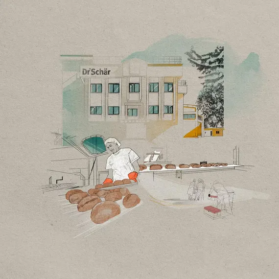 Production plant and head office - Istanbul